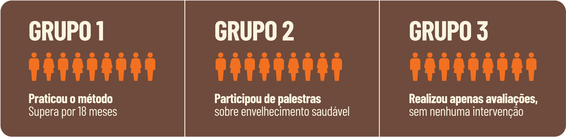 Infográfico do estudo
