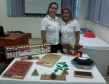 foto-0331_0