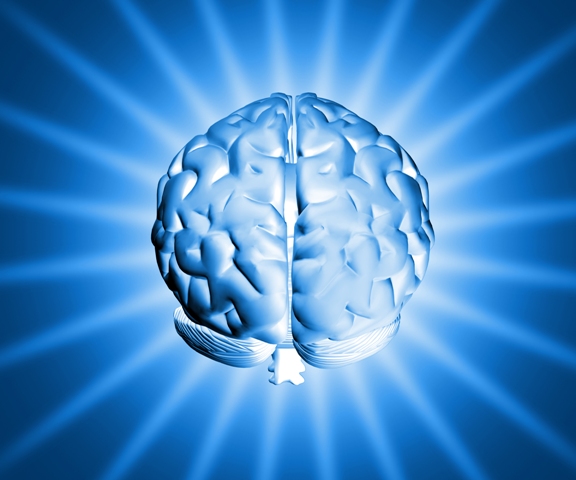 europeus querem construir cerebro virtual