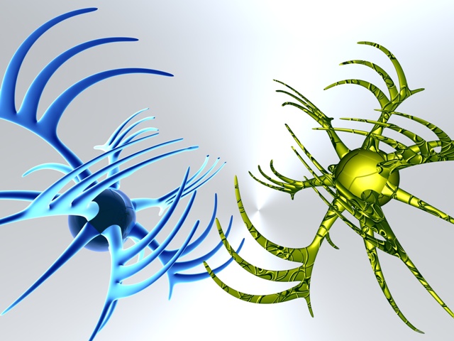 brain fitness estimule seus neuronios brain fitness estimule seus neuronios