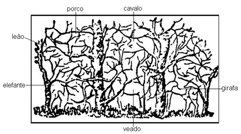 Árvores dos animais