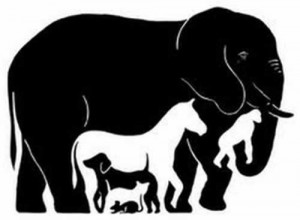 Elefante