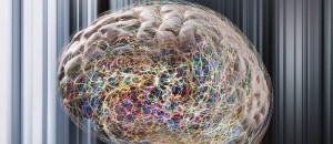Cientistas dos EUA criam &lsquo;minic&eacute;rebro&rsquo; em laborat&oacute;rio - Supera - Estimula&ccedil;&atilde;o Cognitiva