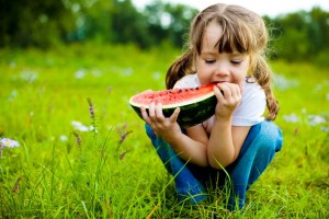 alimentos para o cérebro