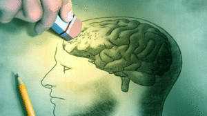 O c&eacute;rebro tamb&eacute;m envelhece - Supera - Estimula&ccedil;&atilde;o Cognitiva