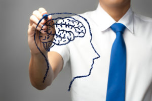fun&ccedil;&otilde;es cognitivas do c&eacute;rebro