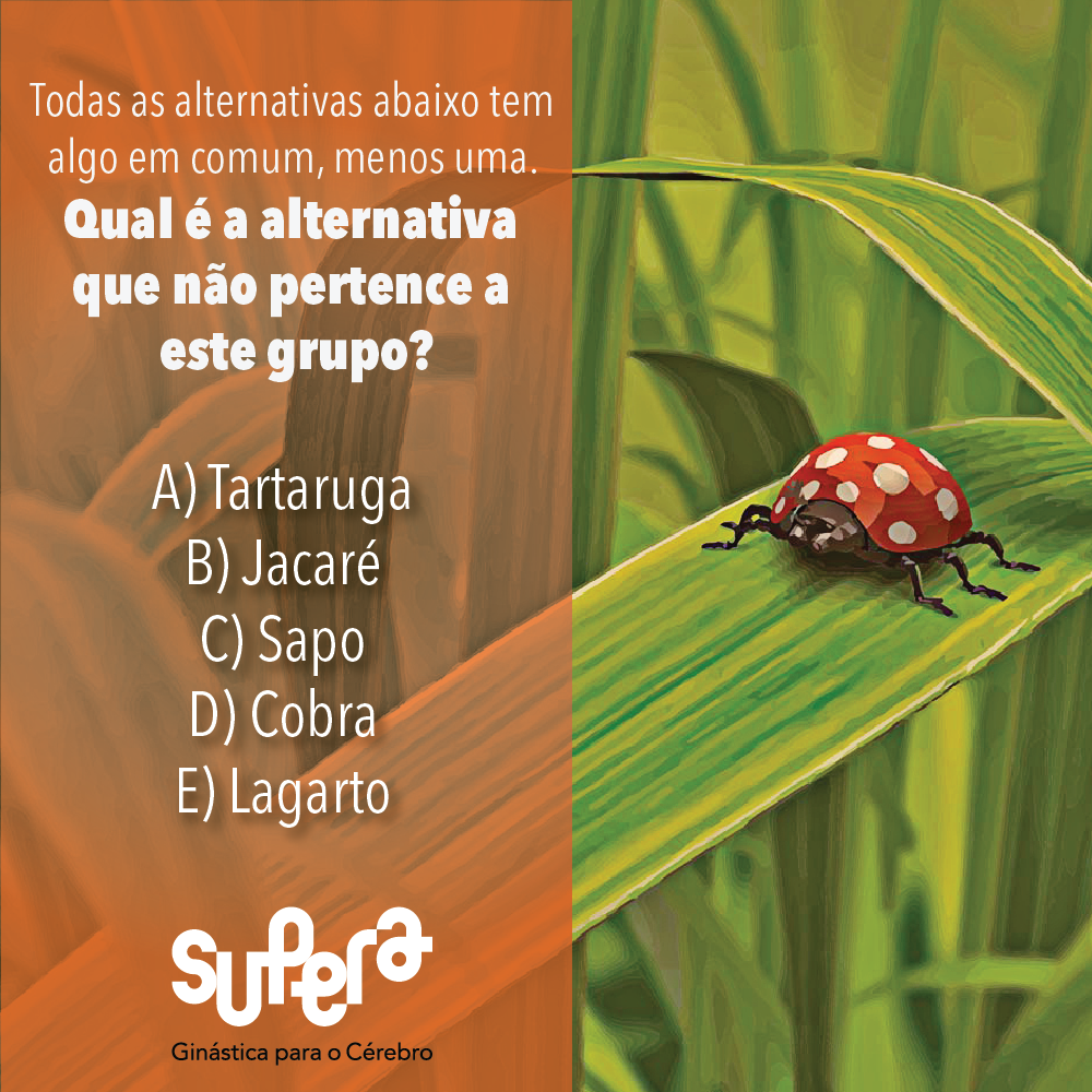Qual não pertence ao grupo?
