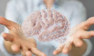 Exercícios físicos deixam cérebro mais inteligente e rápido - Supera - Estimulação Cognitiva