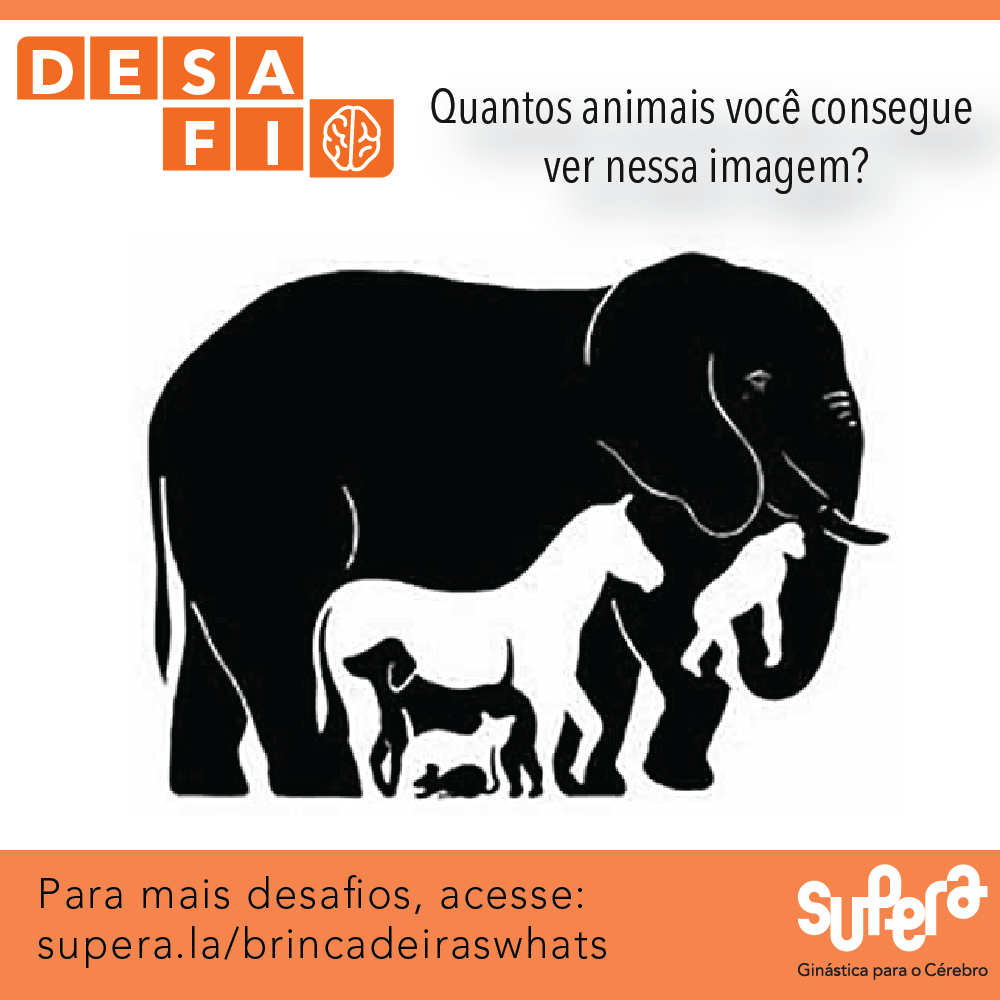 Brincadeiras Whatsapp #15 – Ilusão de Ótica (Animais) - Supera - Estimulação Cognitiva