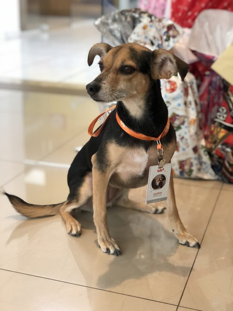 De crachá e ‘batendo ponto’: conheça Lelinha, a mascote do Supera - Supera - Estimulação Cognitiva