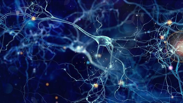 O que é o Acidente Vascular Cerebral; prevenção e cuidados - Supera - Estimulação Cognitiva