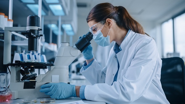Pesquisa conclui que cérebro "rotaciona" memórias para não serem substituídas por novas informações; entenda. - Supera - Estimulação Cognitiva