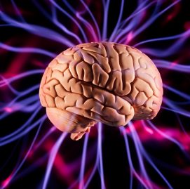 cerebro supera