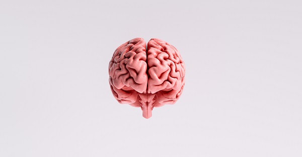 Será que usamos apenas 10% do nosso cérebro? A neurociência responde - Supera - Estimulação Cognitiva