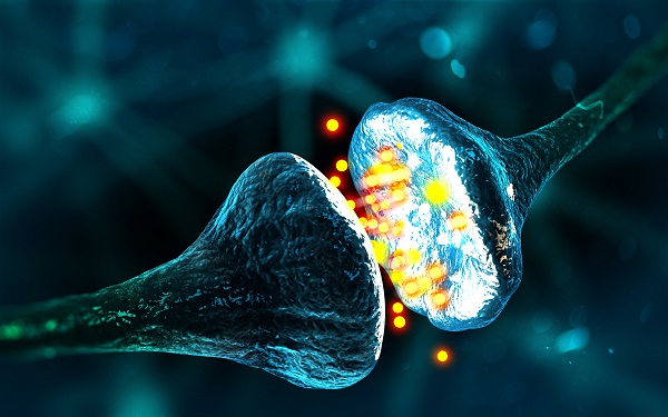 Como os neurotransmissores controlam as emoções? - Supera - Estimulação Cognitiva