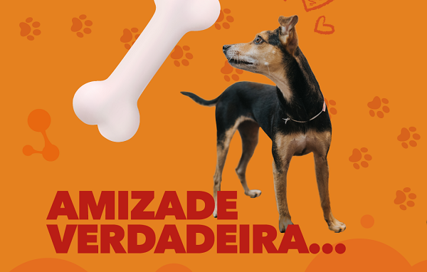 No Dia do amigo, cinco lições que aprendemos com a Lelinha - Supera - Estimulação Cognitiva