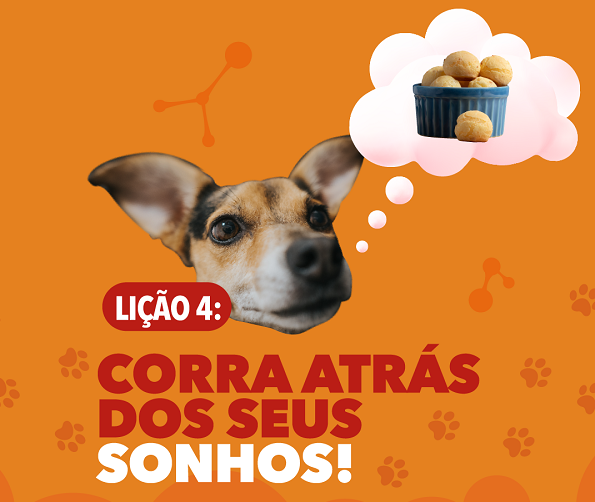 No Dia do amigo, cinco lições que aprendemos com a Lelinha - Supera - Estimulação Cognitiva