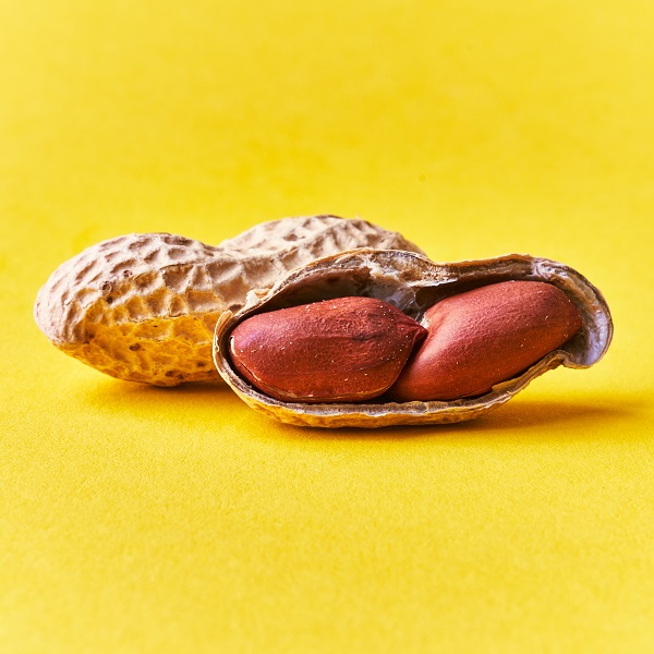 Superalimento: Amendoim faz bem para o c&eacute;rebro? Veja a receita! 
