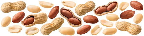 Superalimento: Amendoim faz bem para o c&eacute;rebro? Veja a receita! 