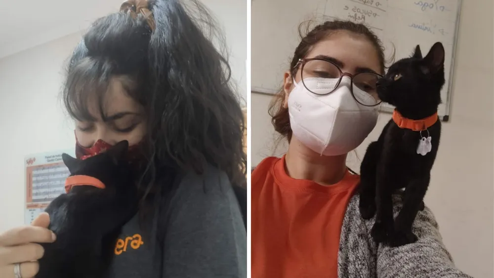 contato com animais melhora a saúde
