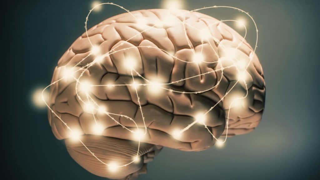 ginástica cerebral