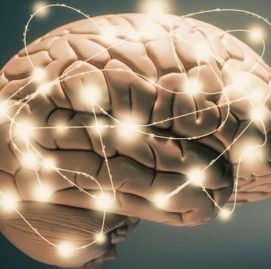 ginástica cerebral