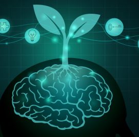 mindset de crescimento