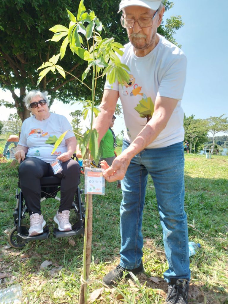 plantio de &aacute;rvore em Bras&iacute;lia 