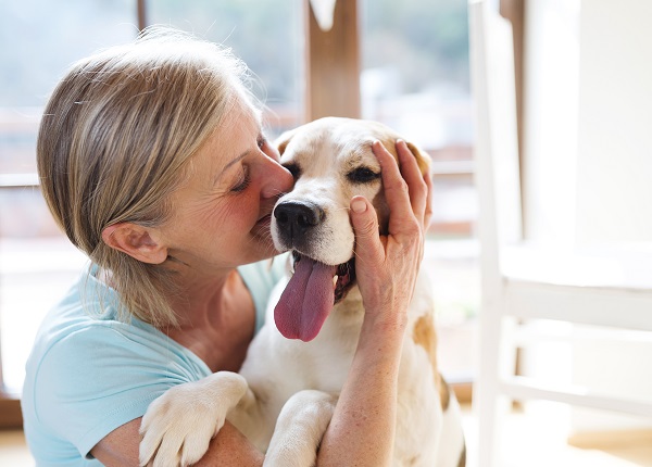 A import&acirc;ncia de cachorros e gatos para pessoas idosas - Supera - Estimula&ccedil;&atilde;o Cognitiva