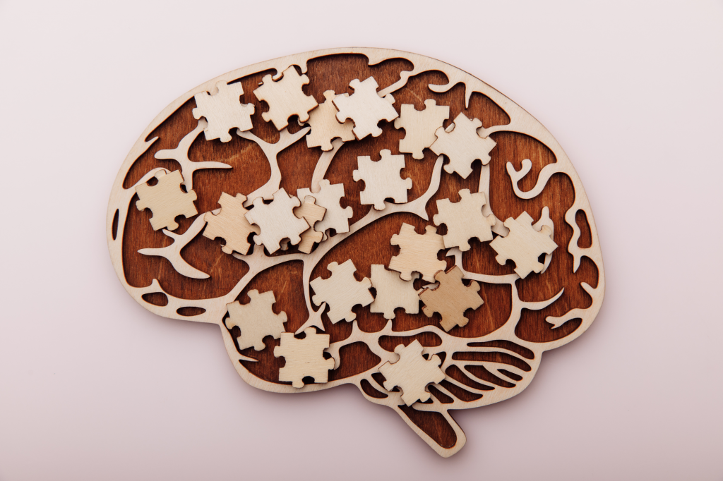 A memória não é uma habilidade, mas sim um subsistema! - Supera - Estimulação Cognitiva
