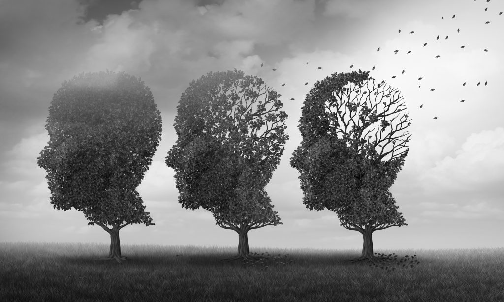 A memória não é uma habilidade, mas sim um subsistema! - Supera - Estimulação Cognitiva